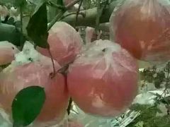 -AdD全日制餐厅(中谷花园酒店)