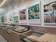 -陕西自然博物馆