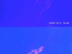 -南昌融创海世界