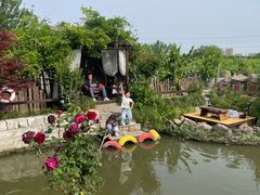 -樂桃源奉贤黄桃种植采摘基地