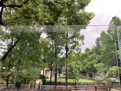 -J Create城市露营咖啡·简餐·宠物(上海动物园店)