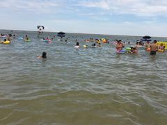 -碧海金沙