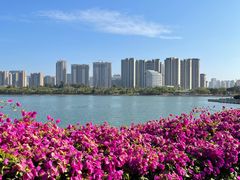 -五缘湾湿地公园