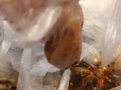 -顺城金记卤鸡·清真