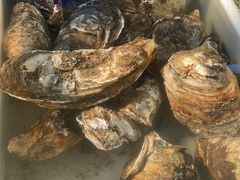 -南沙十九涌渔人码头-南门