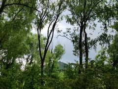 -西湖风景区-江洋畈生态公园