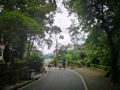 -广州市流溪河国家森林公园