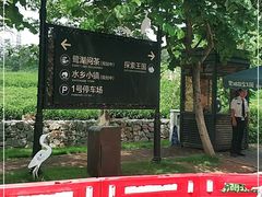 -美的鹭湖森林度假区