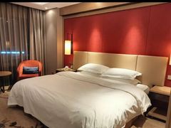 -南京维景国际大酒店(南京博物院店)