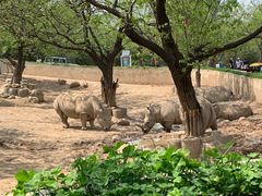 -西安秦岭野生动物园