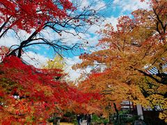-常寂光寺