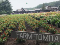 -富田农场