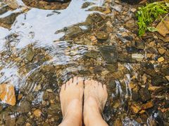 -三门江国家森林公园