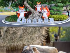 -佛冈森波拉度假区