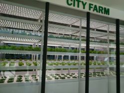 -安利上海体验馆