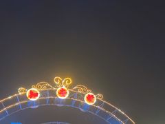 -武汉知音号