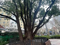 -徐家汇源景区-衡山公园