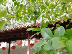 -天一阁博物院