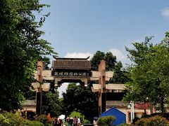 -张坝桂圆林公园