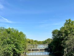 -上海吴淞炮台湾国家湿地公园