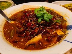 毛血旺-辛香汇(飞洲店)