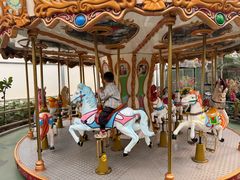 -南宫五洲植物乐园