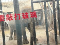 -新疆天山野生动物园