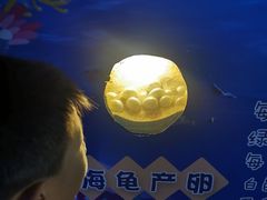 -烟台海昌鲸鲨海洋公园