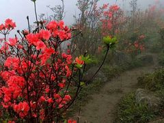 -桃花涧