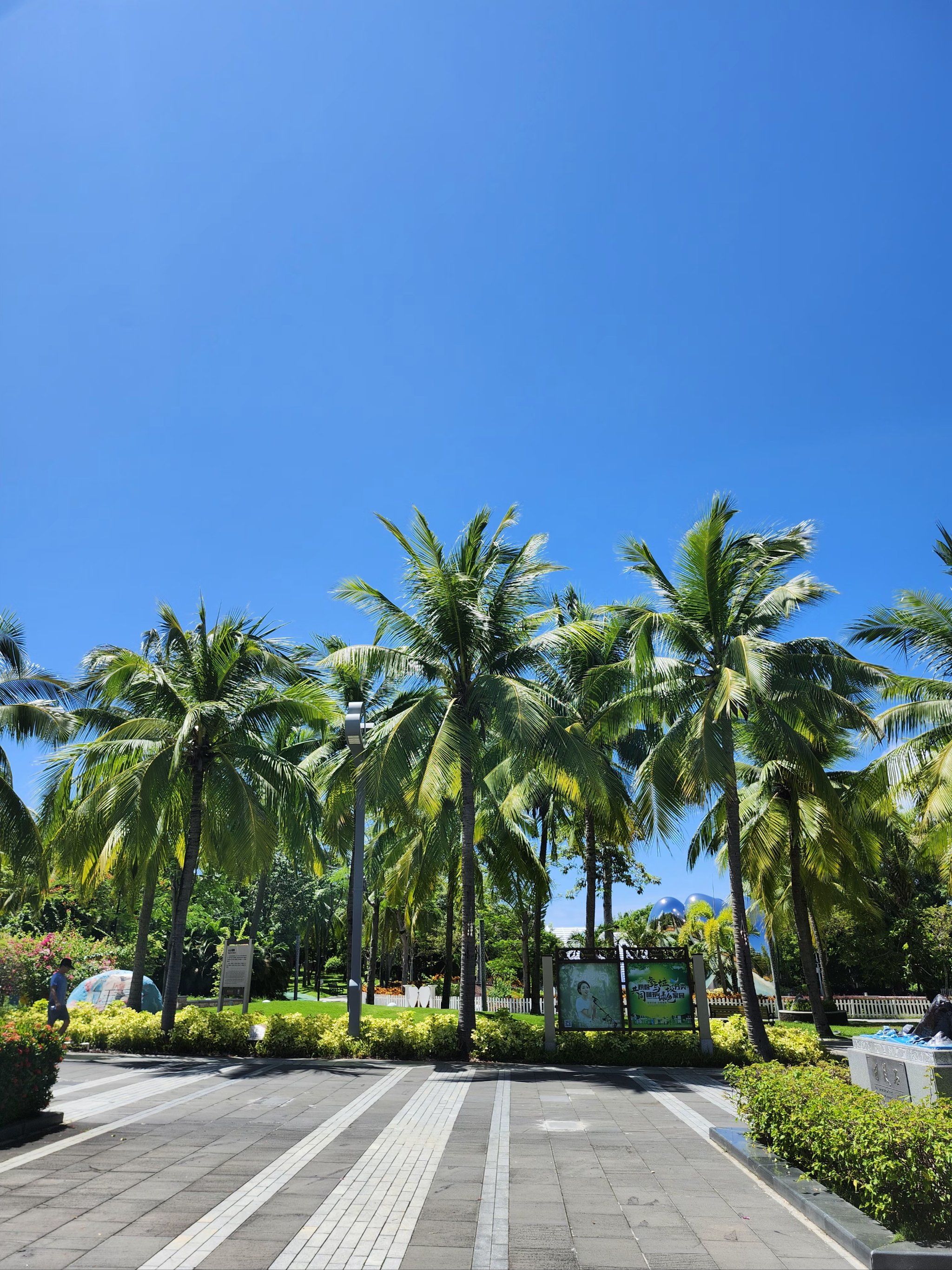 三亚的夏天,拍出来的每一张照片都像电脑壁纸