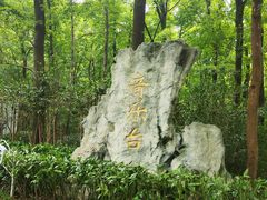 -音乐台