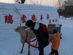 -北京鹿世界主题园