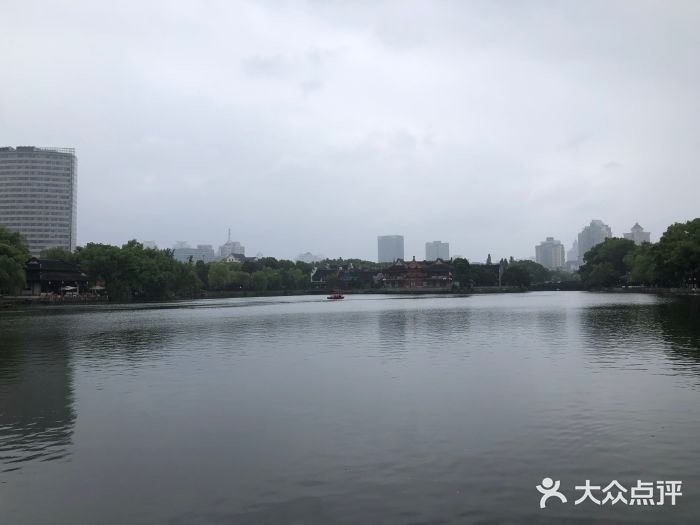 月湖公园图片