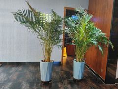 -1918中餐厅(衡山路店)