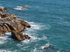 -广东惠东海龟国家级自然保护区