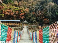 -武汉姚家山旅游景区