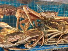 -震海贝烤贝·民俗特色店(延吉总店)