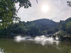 -西双版纳原始森林公园