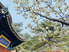 -潭柘寺景区