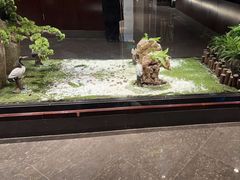 -九洲喜来登酒店湖月日餐厅