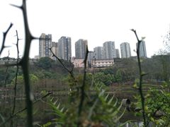 -重庆彩云湖湿地公园