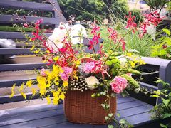 -花到家(富贵鸟花艺行)