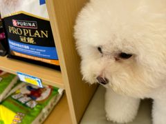 -瑞派康怡24h宠物医院·犬猫医疗中心·微创绝育(瑞景分院)