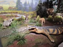 -陕西自然博物馆