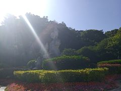 -金鸡山公园