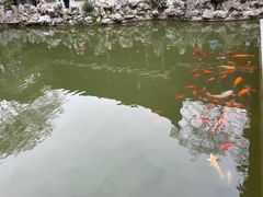 -何园