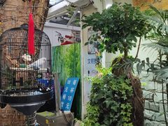 -丽江庭院之丽江往事(安定门店)