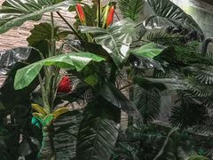 -泉城欧乐堡戏水湾艺术养生温泉