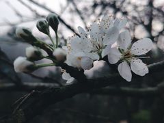 -重庆彩云湖湿地公园