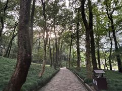 -九曜山